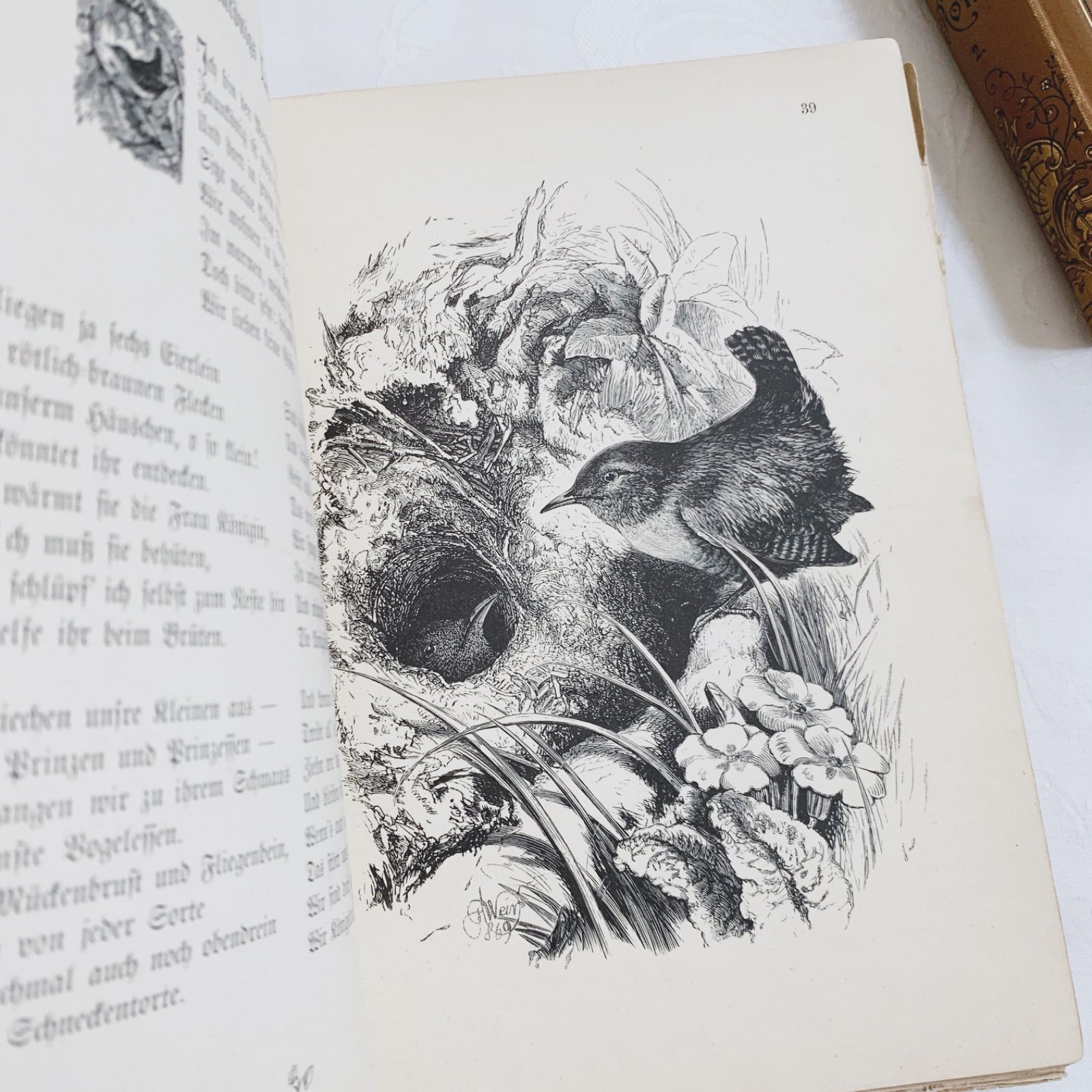 NO.369 超希少 古書 アンティーク 洋書 児童書 ドイツ絵本 1890-1910年ドイツのアンティーク児童書-美しいカラー&モノクロ挿絵を