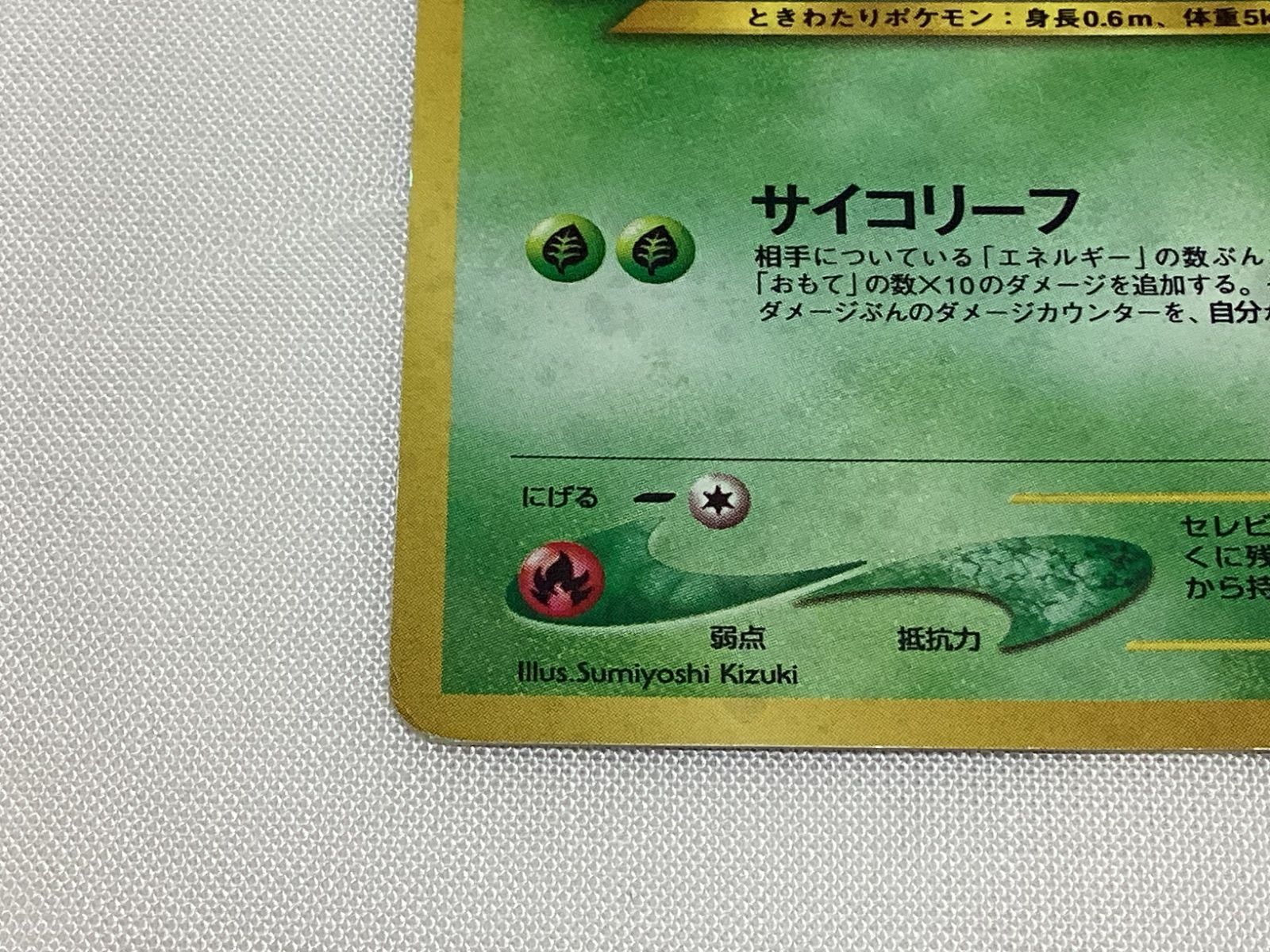 RR266250662 ポケモンカード セレビィ No.251 旧裏 サイコリーフ