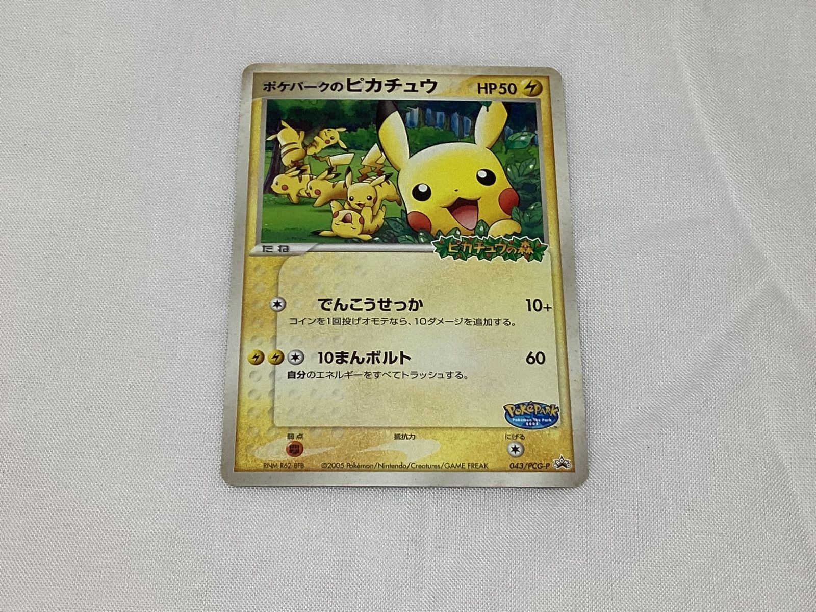 RR266250663 ポケモンカード ポケパークのピカチュウ（043/PCG-P
