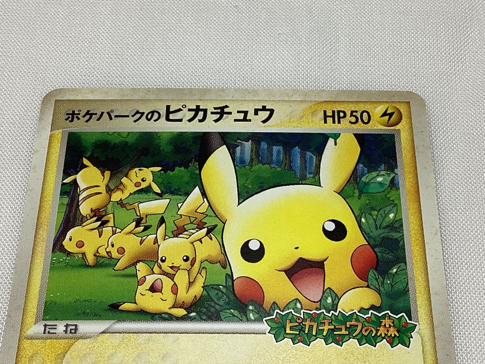 RR266250663 ポケモンカード ポケパークのピカチュウ（043/PCG-P