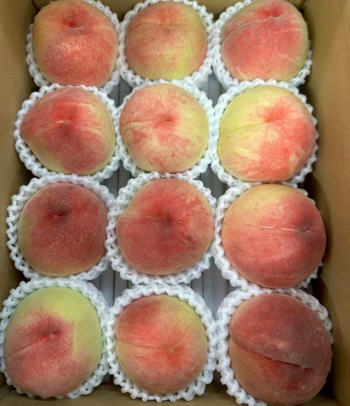 山梨県産 桃 川中島白鳳 3kg クール便 - メルカリ