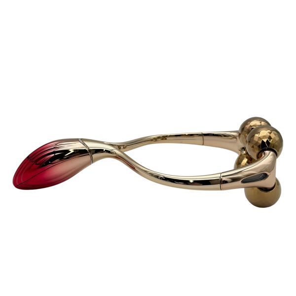 リファ ReFa 美顔ローラー 美顔器 DOUBLE RAY フェイスケア RF-SS2343B