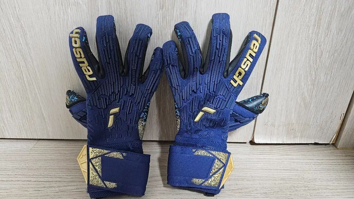 ロイッシュ アトラクト フリーゲル ヒュージョン ゴールキーパー GK グローブ