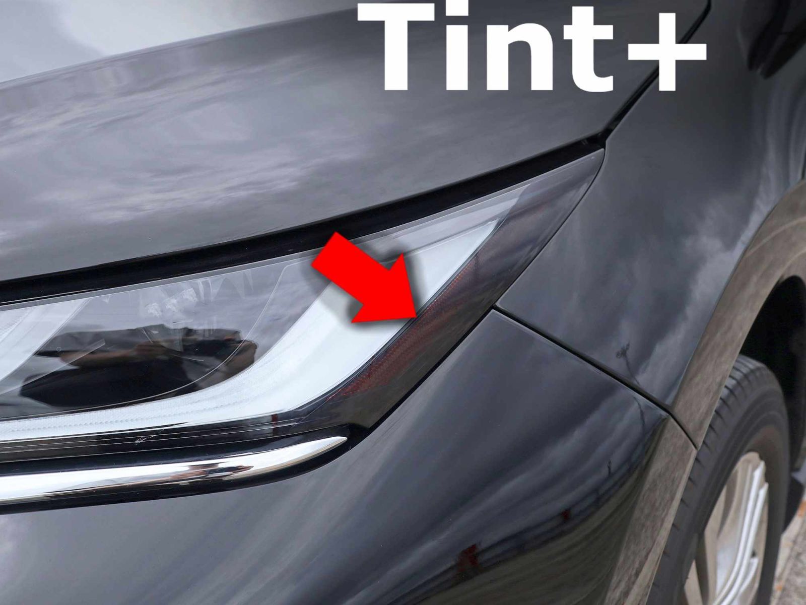 Tint+何度も貼れる ハリアー 80系 ヘッドライト スモークフィルム