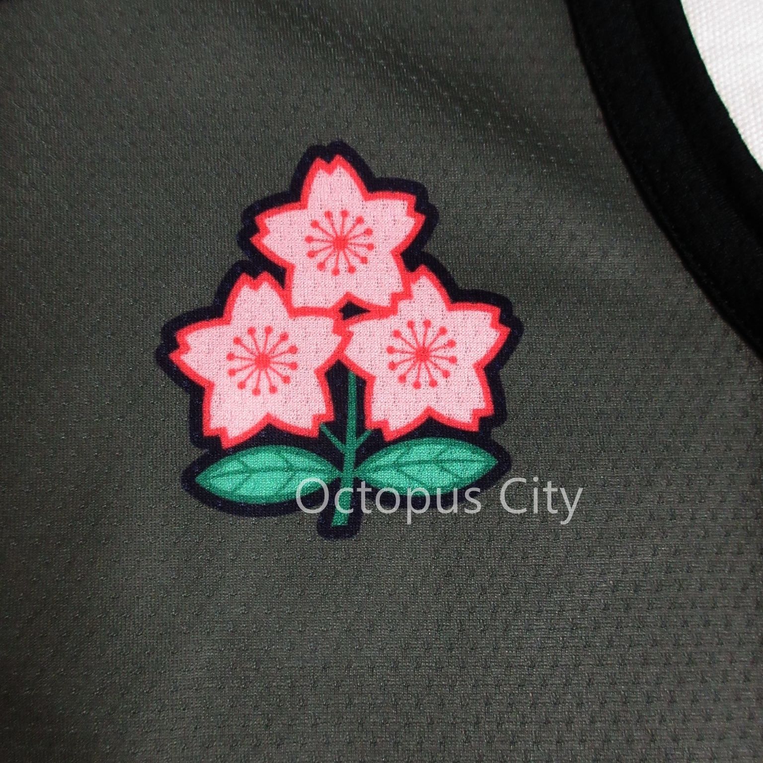 カンタベリー　ラグビー日本代表　ダウン　3L【ノリダー】 メンズ M / L / XL / 3L / 4L 】未使用 カンタベリー ラグビー日本代表