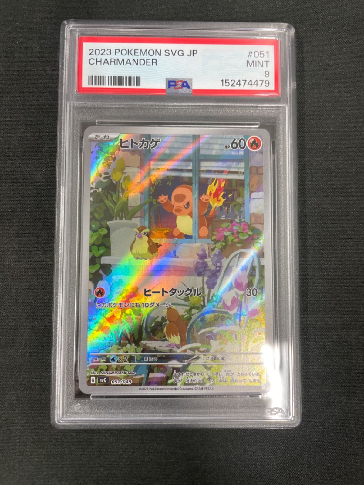 PSA9】ヒトカゲ AR仕様 051/049 - メルカリ
