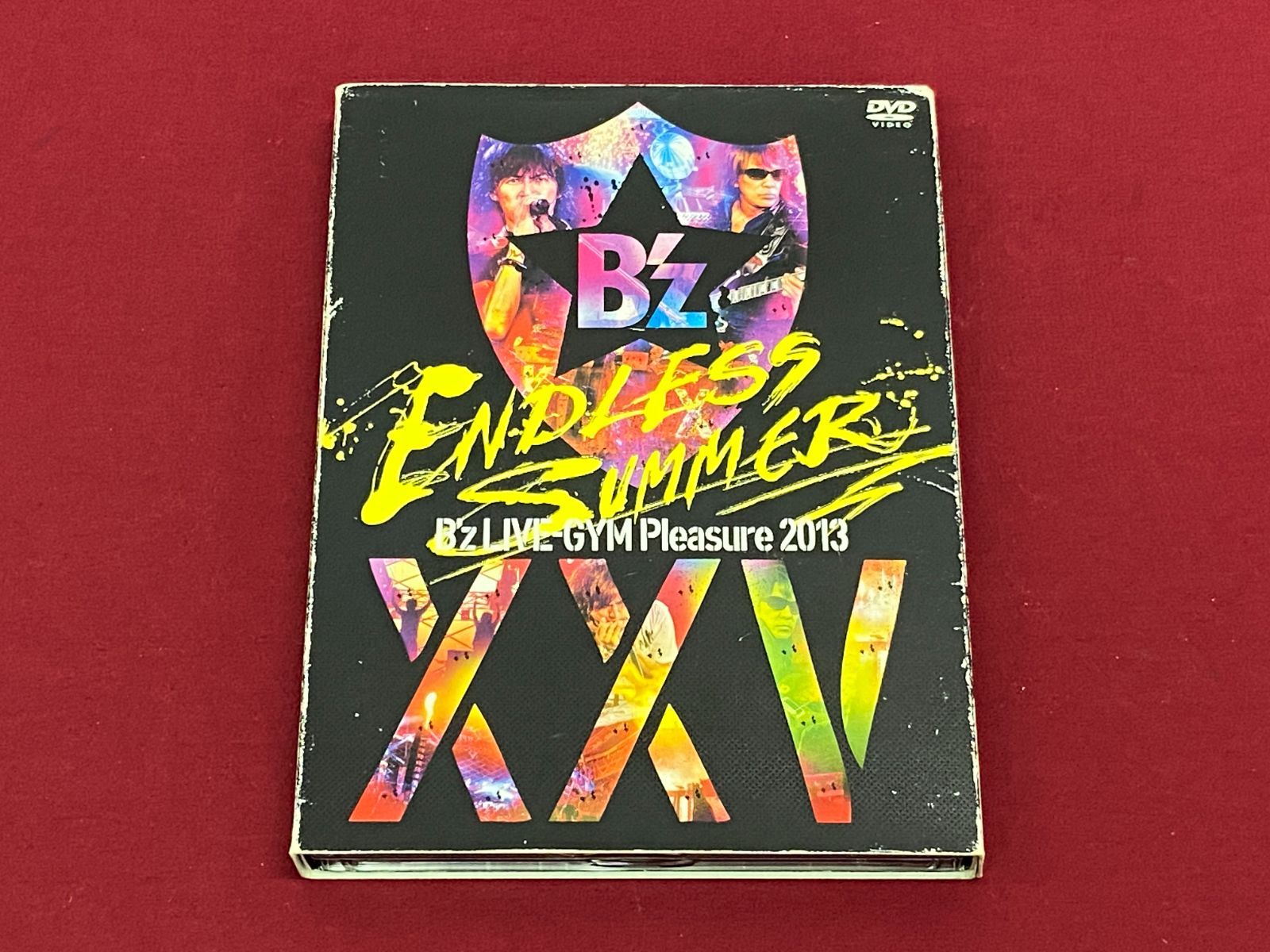 カメ】【邦楽DVD】B'z LIVE-GYM Pleasure 2013 ENDLESS SUMMER XXV