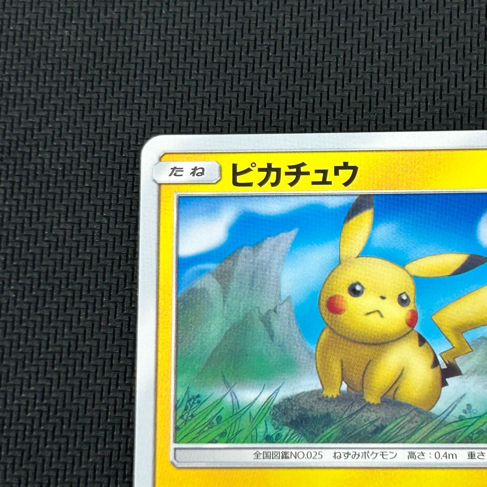 ピカチュウ プロモ 377/SM-P ピカチュウ：ローソン PROMO SM-Pプロモ