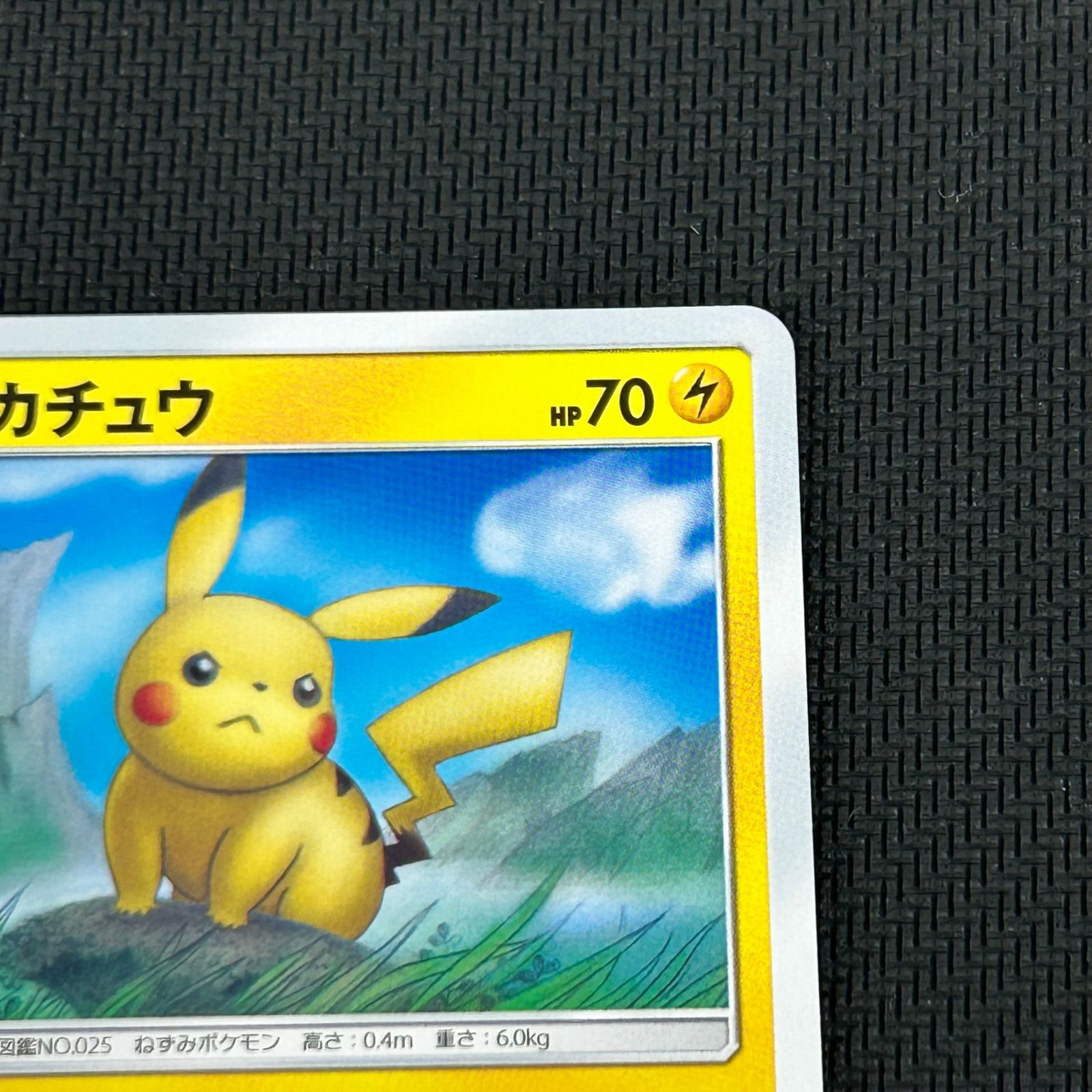 ポケカ ピカチュウ PROMO プロモ 377/SM-P ローソンサマーキャンペーン