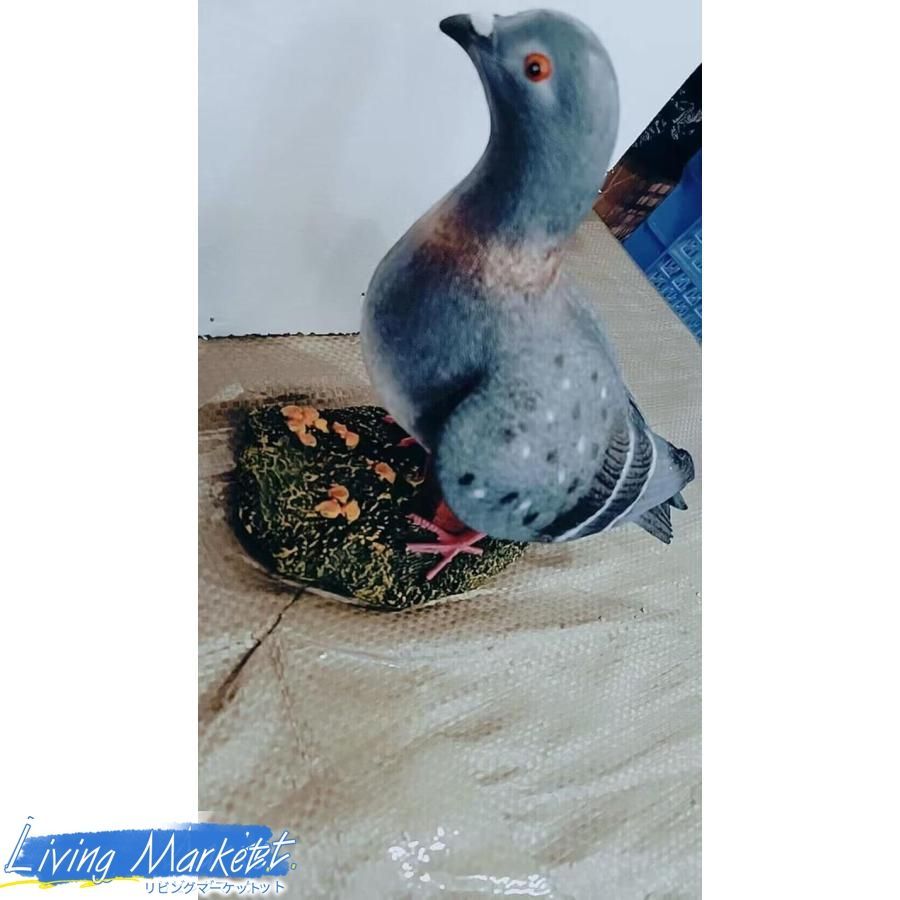 鳩の置物 白 ピジョン タイプ 鳥 えんぎものの置物 とり 動物