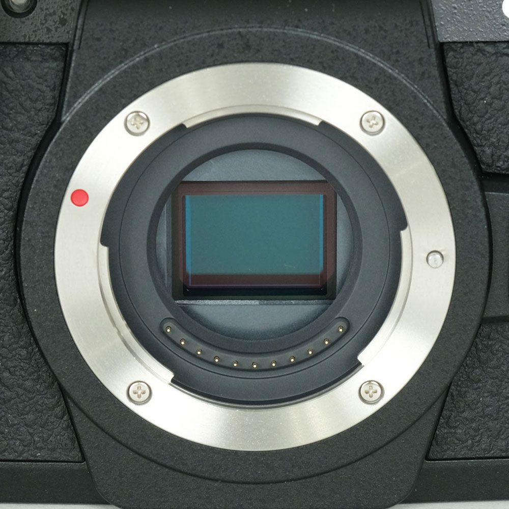 美品 | シャッター数82回] Panasonic LUMIX DC-G99D ボディ ブラック