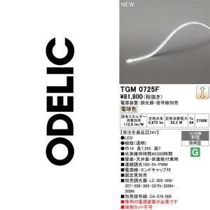 【新品・5営業日で発送】ODELIC オーデリック 間接照明 TGM0725F