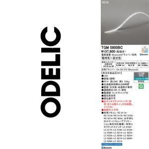 【新品・5営業日で発送】ODELIC オーデリック 間接照明 TGM0900BC