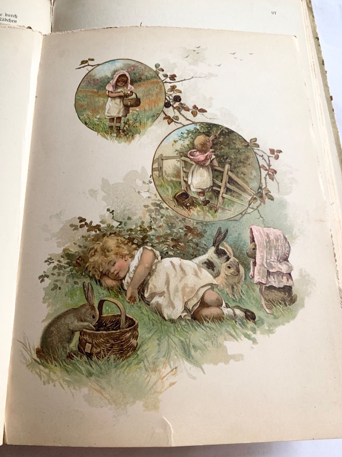 1890-1910年ドイツのアンティーク児童書-美しいカラー&モノクロ挿絵を