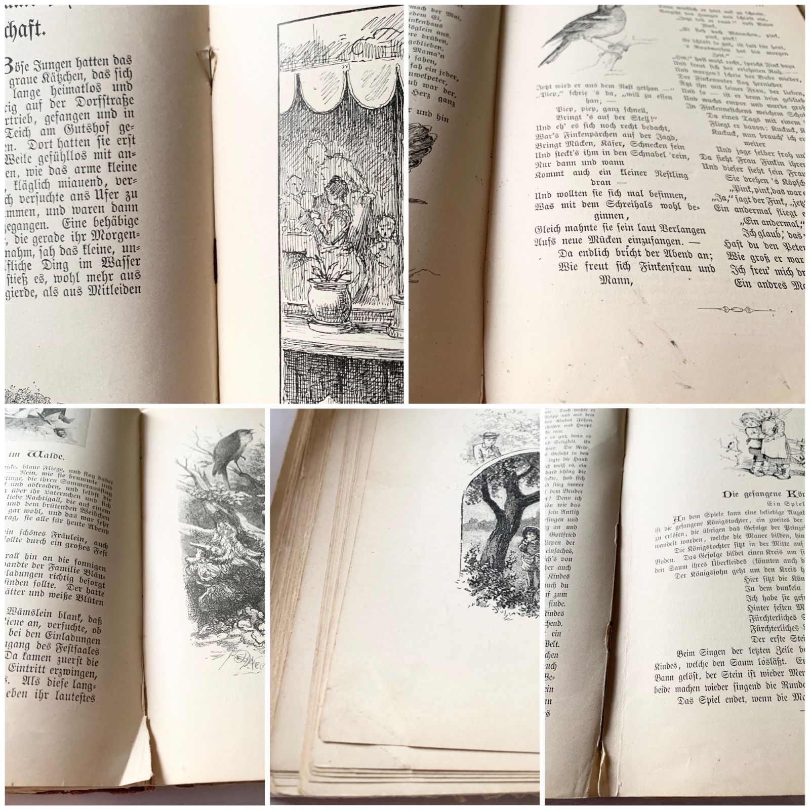 1890-1910年ドイツのアンティーク児童書-美しいカラー&モノクロ挿絵を