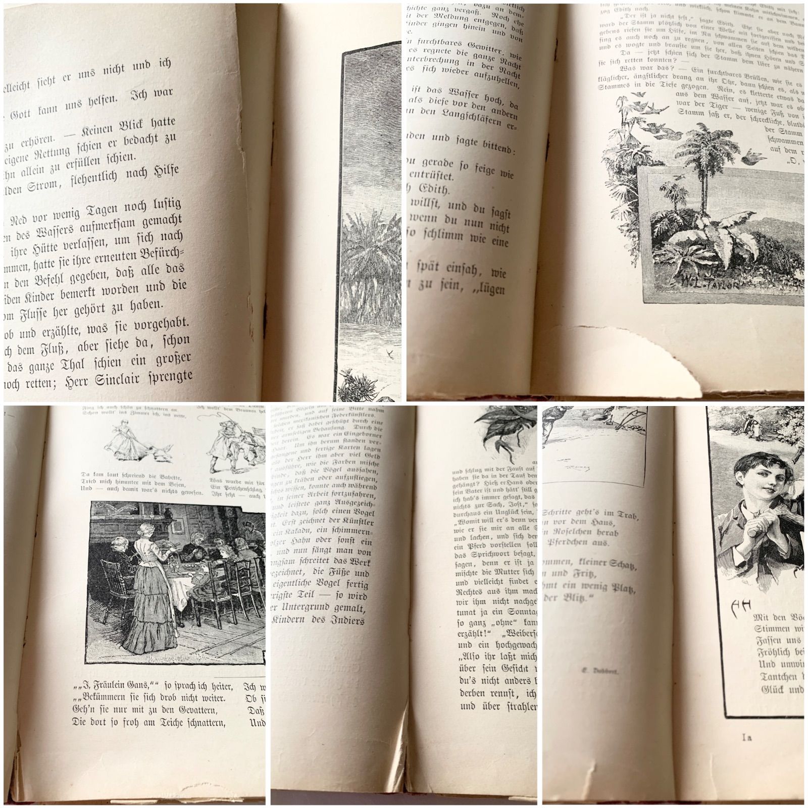 1890-1910年ドイツのアンティーク児童書-美しいカラー&モノクロ挿絵を