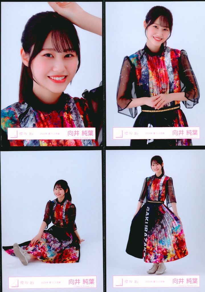 櫻坂46 11th Single BACKS LIVE!! 向井純葉 2024年夏フェス衣装 コンプ