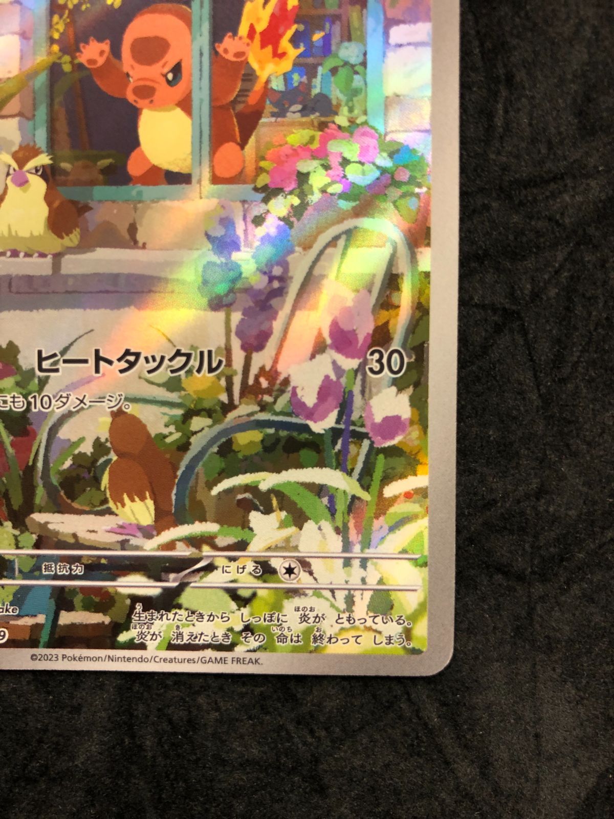 ポケモンカード ヒトカゲ AR SVG 051/049 「スペシャルデッキセットex