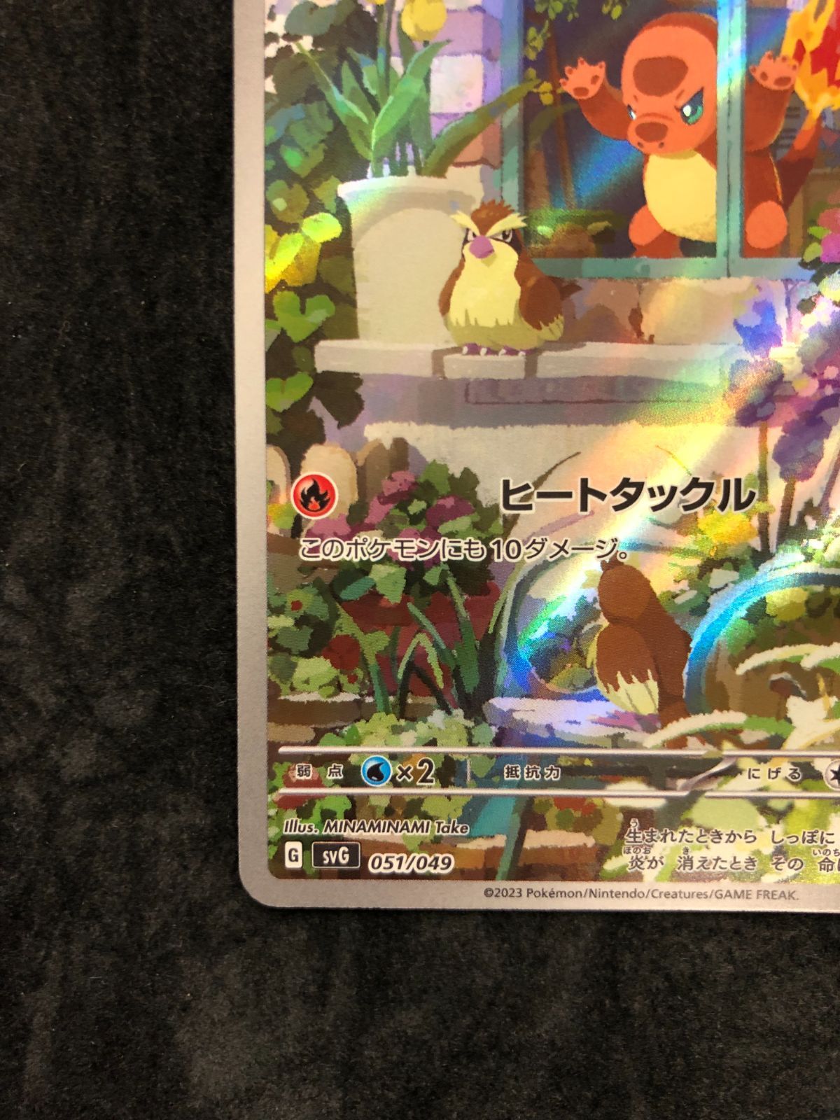 ポケモンカード ヒトカゲ AR SVG 051/049 「スペシャルデッキセットex