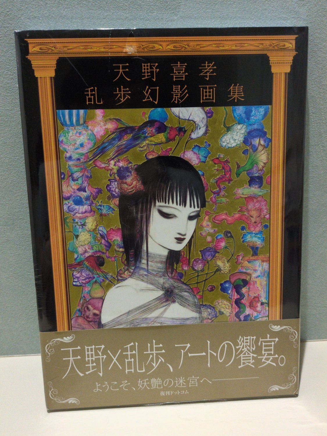 天野喜孝乱歩幻影画集 - メルカリ