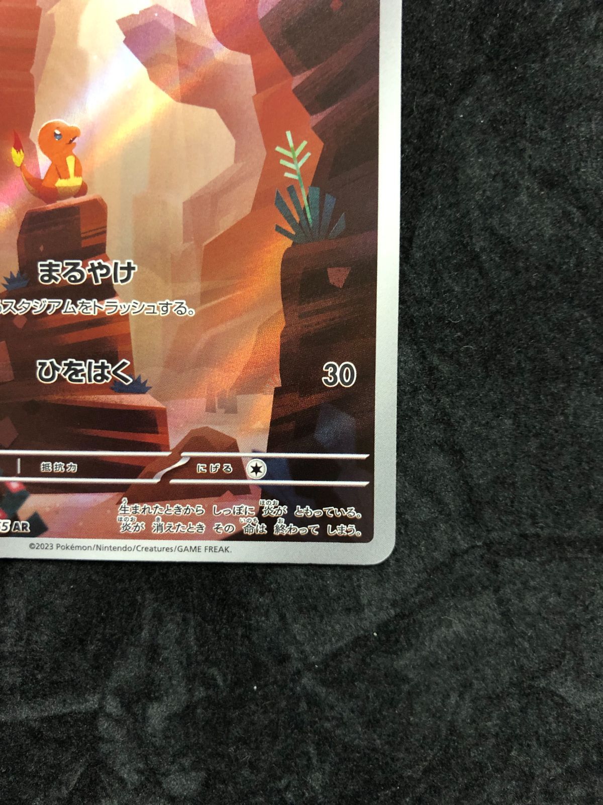 ポケモンカード ヒトカゲ AR 168/165 リザード AR 169/165 リザードン