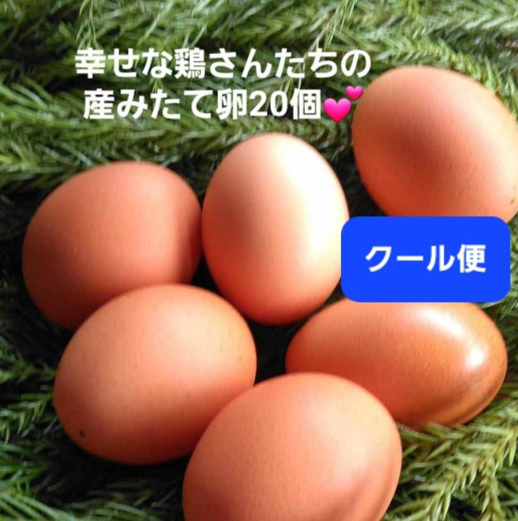 三越扱い正絹振袖 袋帯セット 花鳥文様 吉祥鳥 成人式 結婚式 前撮り