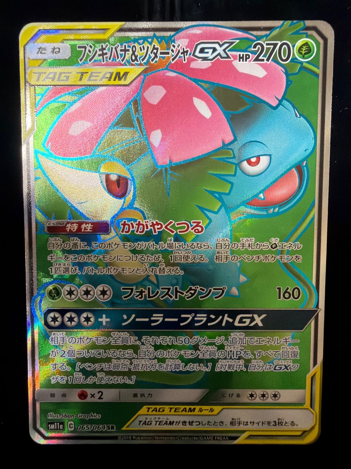 フシギバナ&ツタージャ gx sm11a 065/064 sr - メルカリ