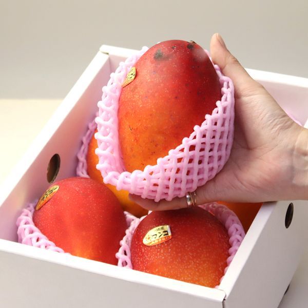 訳あり沖縄産マンゴー 1.5kg(4玉) JAおきなわ - メルカリ