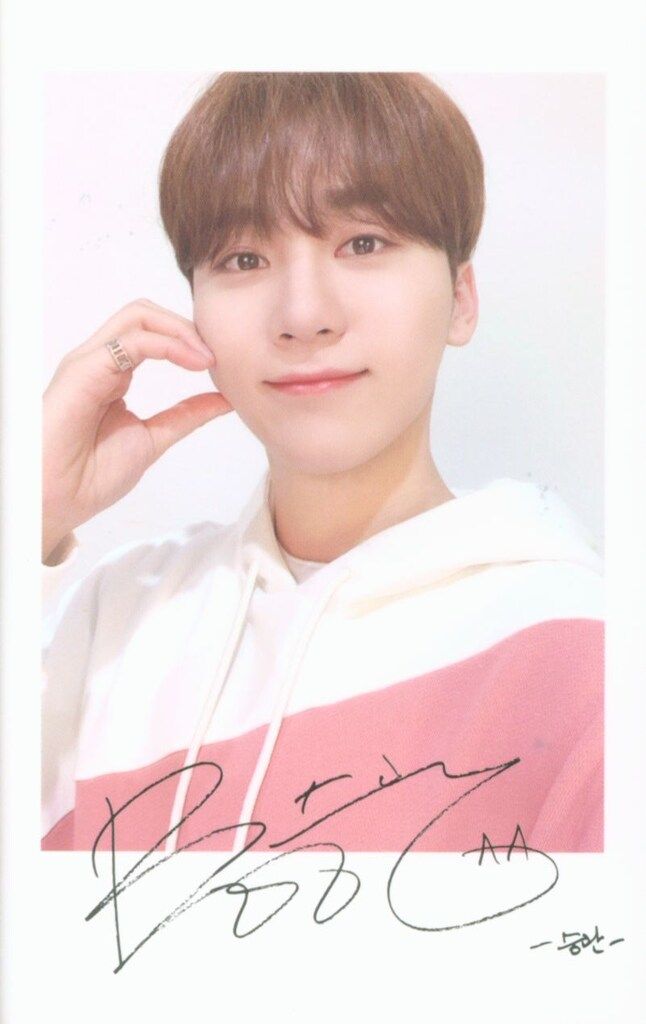 SEVENTEEN 2020 4TH FAN MEETING CARAT LAND SEUNGKWAN ポラロイド