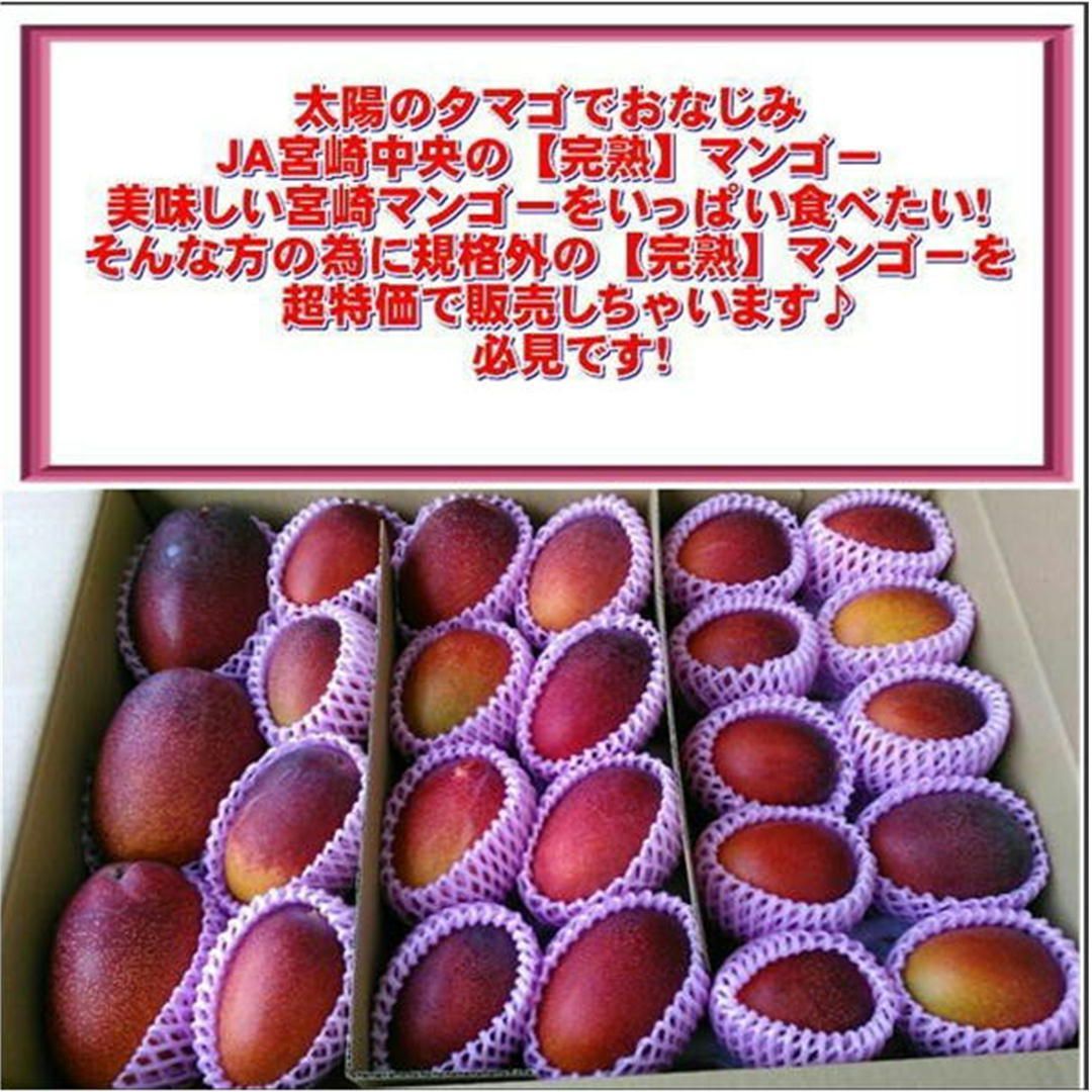 宮崎マンゴー 訳あり 約1kg 加工用 完熟 - メルカリ