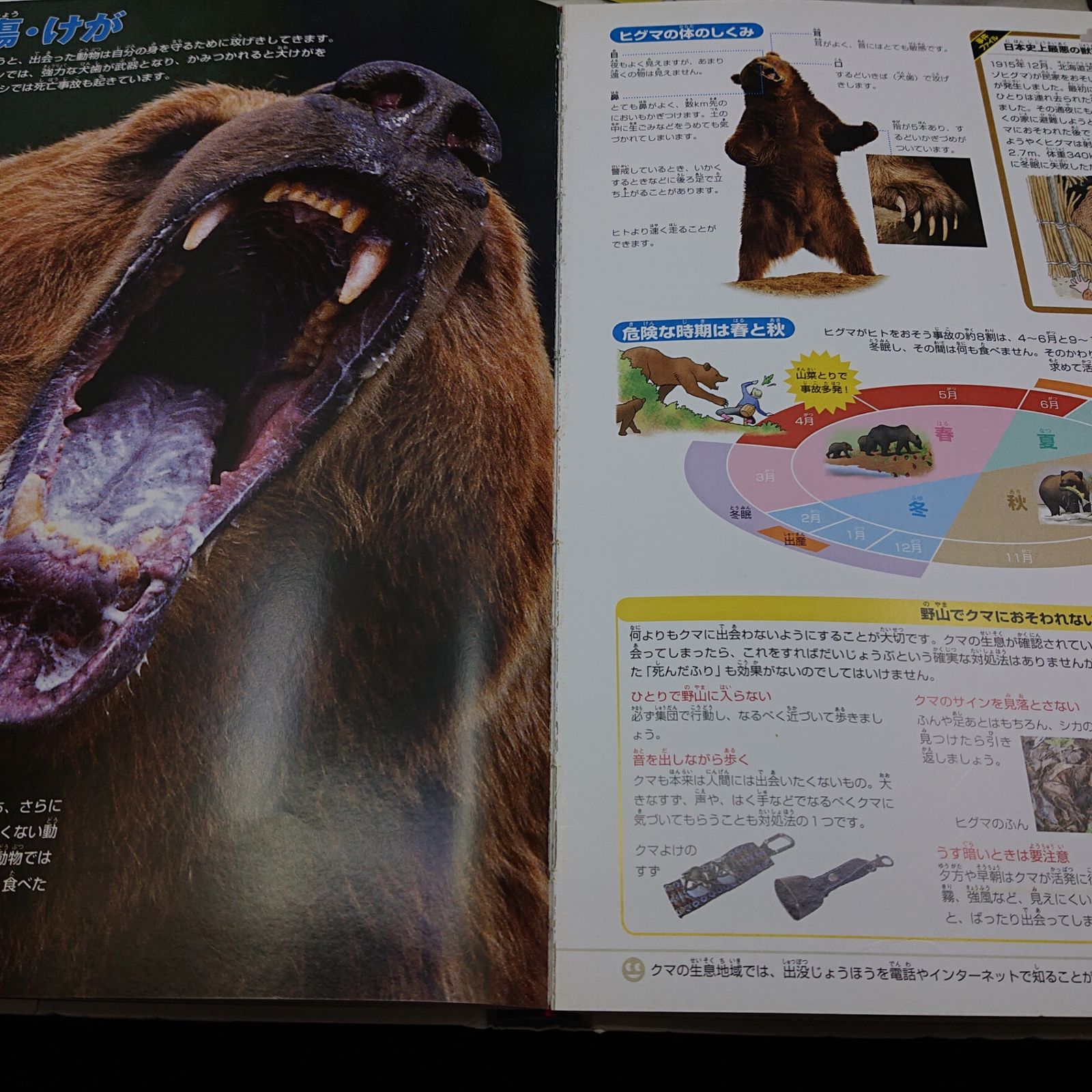 まとめ売り】小学館の図鑑NEOシリーズ 24冊＋ 図鑑2冊 26冊まとめ売り
