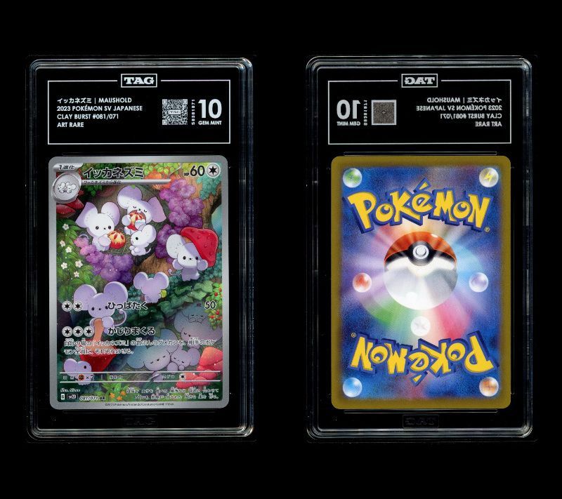 PSA 10 相当 TAG10 ポケモンカード ポケカ イッカネズミ 081/071 sv2D