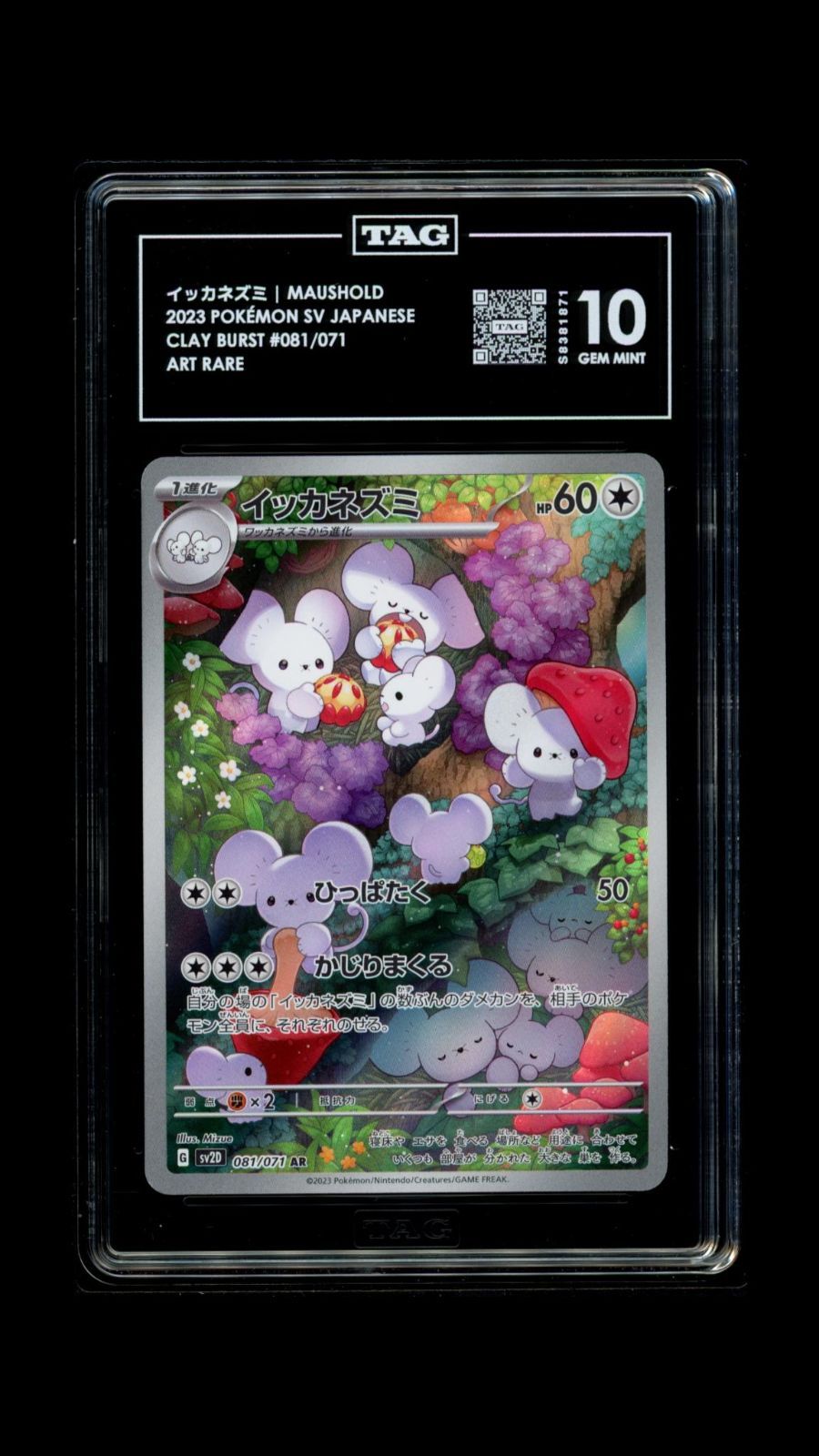 PSA 10 相当 TAG10 ポケモンカード ポケカ イッカネズミ 081/071 sv2D