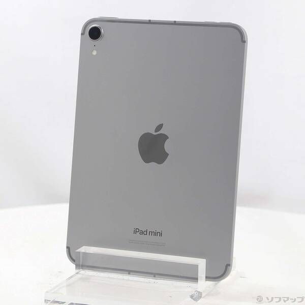iPad mini 256GB スペースグレイ SIMフリー 中古 - メルカリ