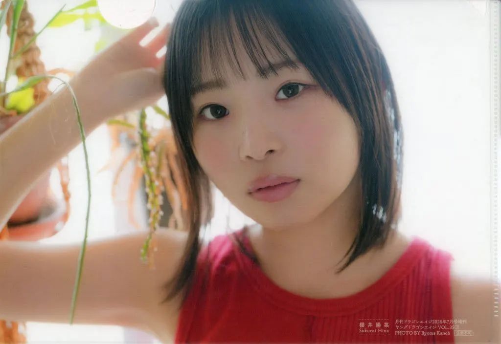 中古】クリアファイル 櫻井陽菜 クリアファイル 月刊ドラゴンエイジ