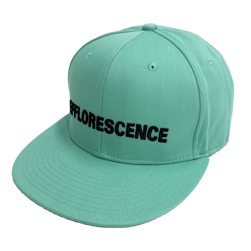 エフロレッセンス　キャップ EFFLORESCENCE エフロレッセンス キャップ グリーン系 F [240101727628