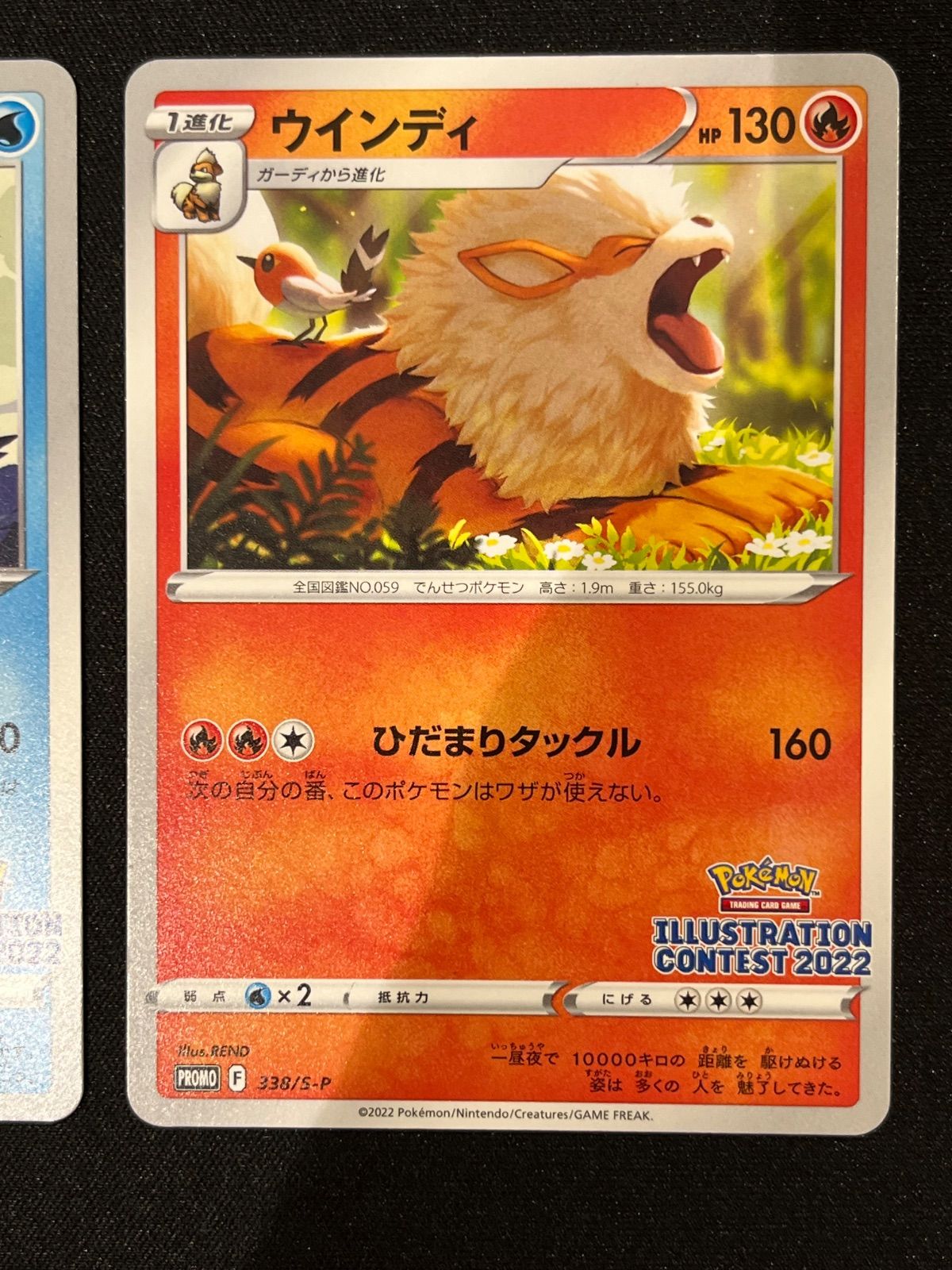 イラストレーションコンテスト2022 フシギダネ ウィンディ ゲッコウガ フシギダネ ゲッコウガ ウインディ イラストコンテスト2022 プロモ