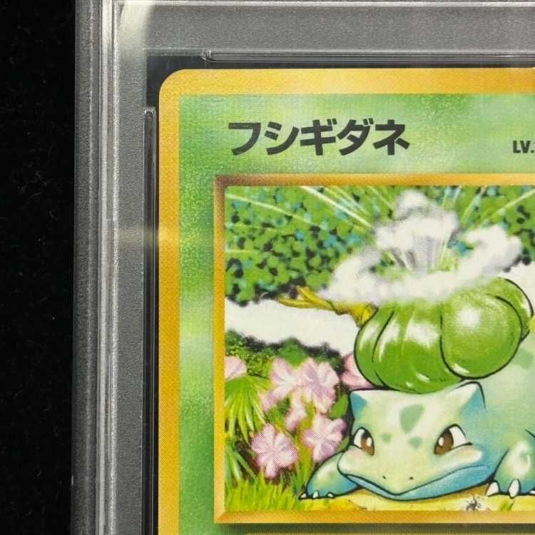 PSA10】フシギダネ マークあり 旧裏 ☆ 1枚 - メルカリ