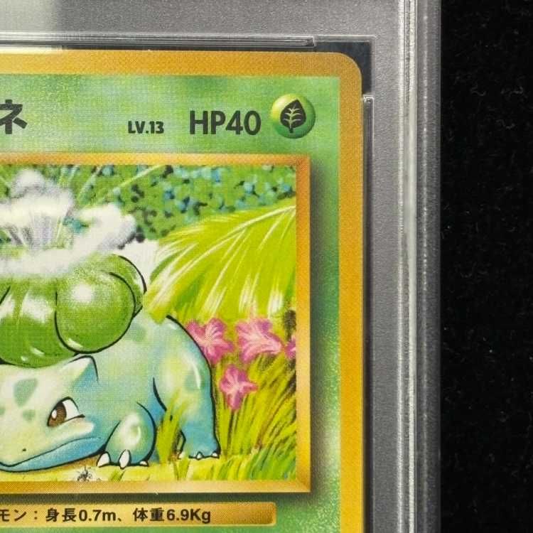 PSA10】フシギダネ マークあり 旧裏 ☆ 1枚 - メルカリ