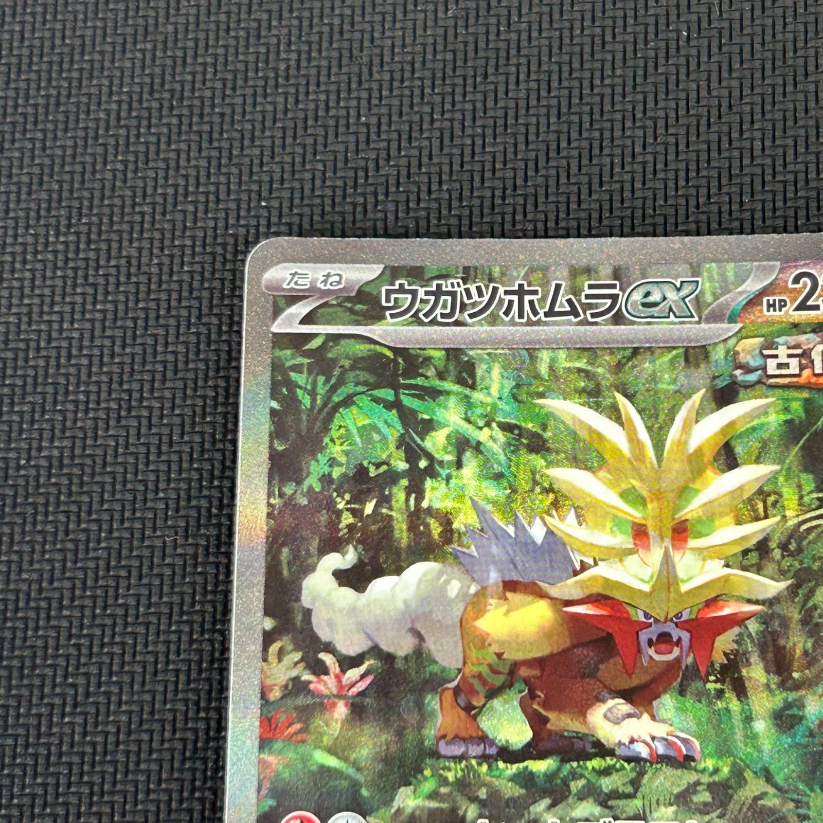 ポケカ ウガツホムラex SAR 093/071/SV5K/B ワイルドフォース - メルカリ
