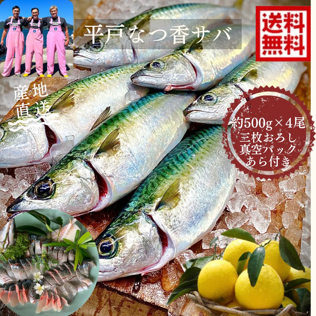 青空レストランに出演 平戸なつ香サバ(約500g×4尾)三枚おろし・真空パック【送料無料】【熨斗対応可】