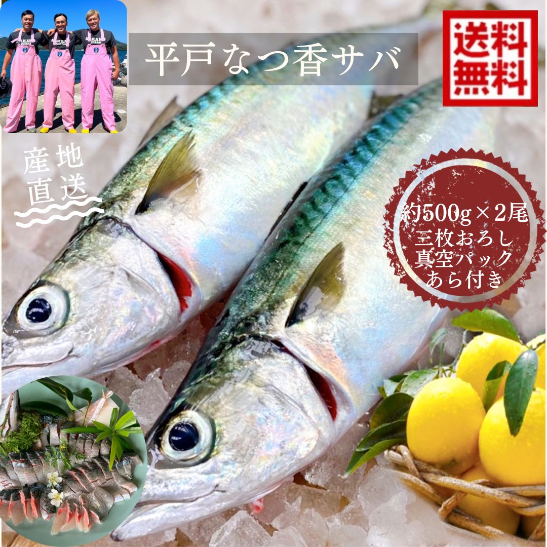 青空レストランに出演 平戸なつ香サバ(約500g×２尾)三枚おろし・真空パック【送料無料】【熨斗対応可】