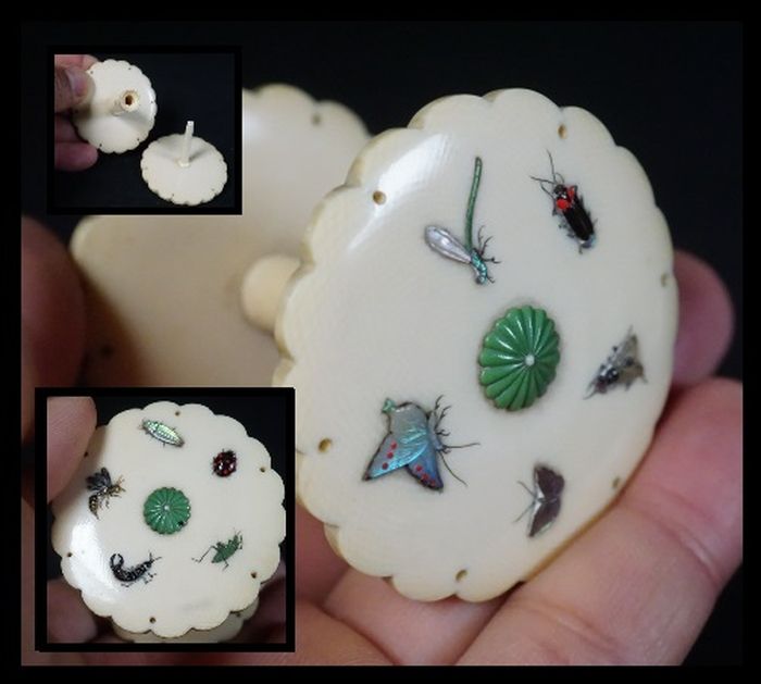 芝山細工　芝山　虫尽くし　昆虫　文房具　螺鈿　珊瑚　糸ケース　裁縫道具　里帰り品　明治工芸　超絶技巧