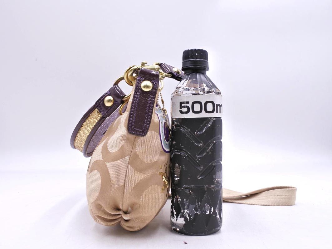 COACH コーチ D1069-15309 POPPY ポピー ポップC アップリケ グルー