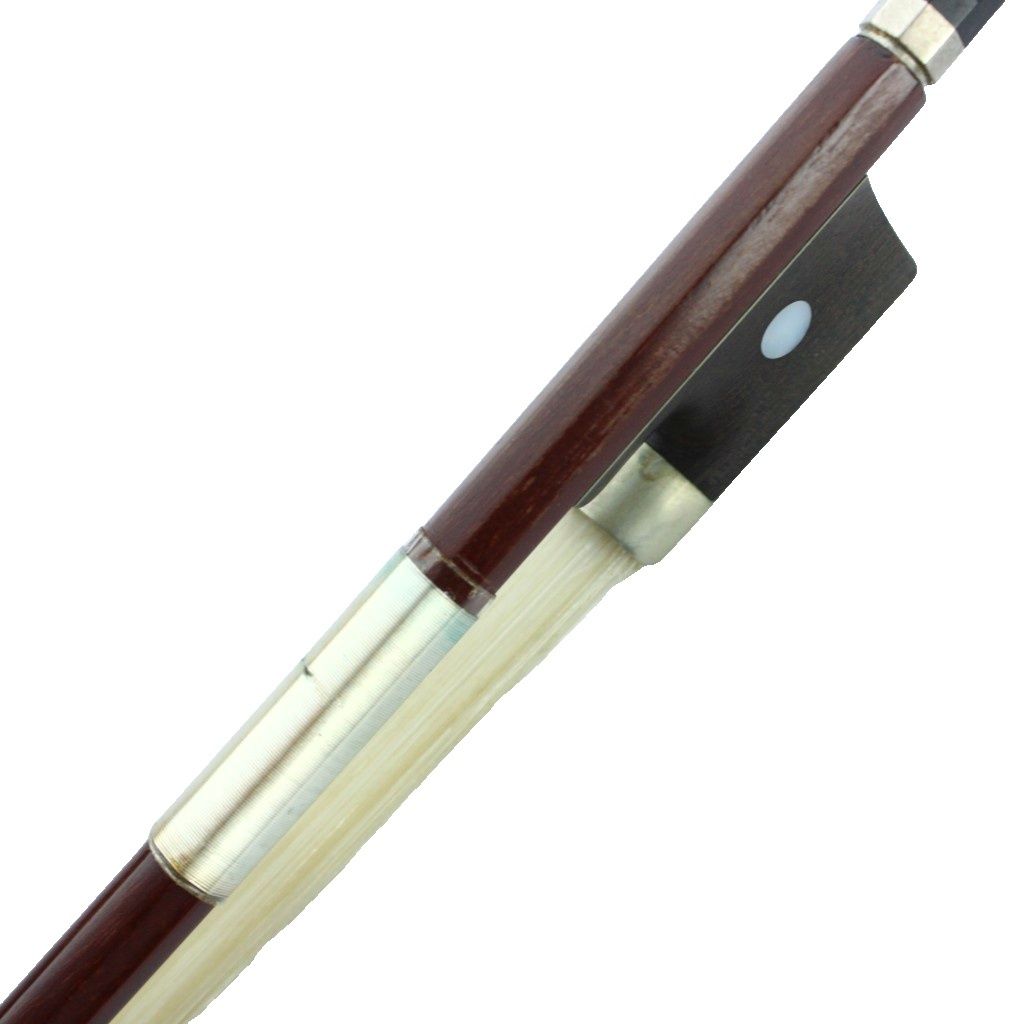 カルロジョルダーノ Carlo giordano バイオリン セット VS-F1 1/16