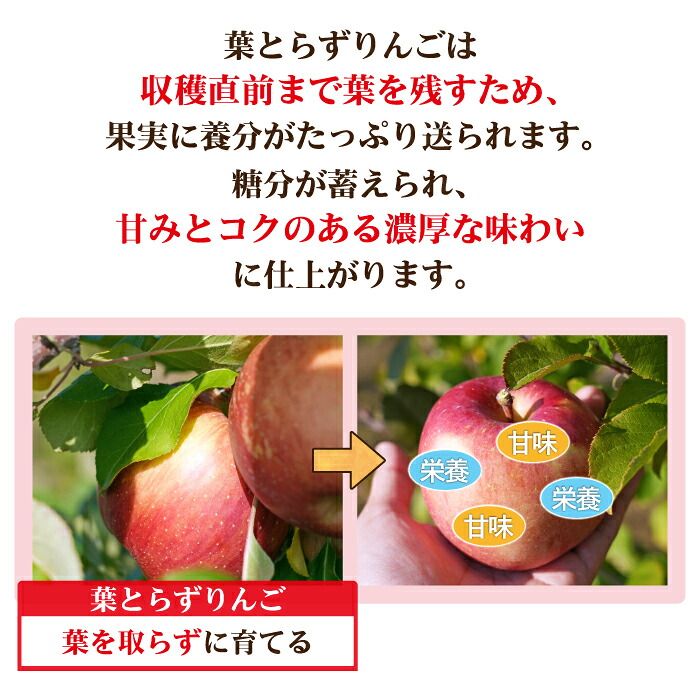 【超メルカリ市限定】【訳あり】葉とらずりんご シナノゴールド20kg 青森県産りんご シナノゴールド・ふじ 3kg 訳あり - メルカリ