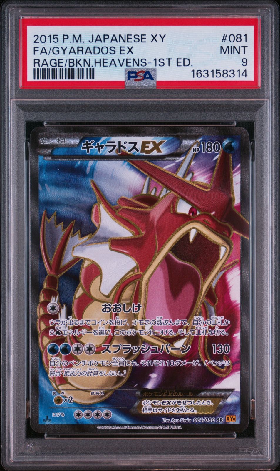 PSA9】 ポケモンカード ギャラドスEX GYARADOS 081/080 1ST EDITION