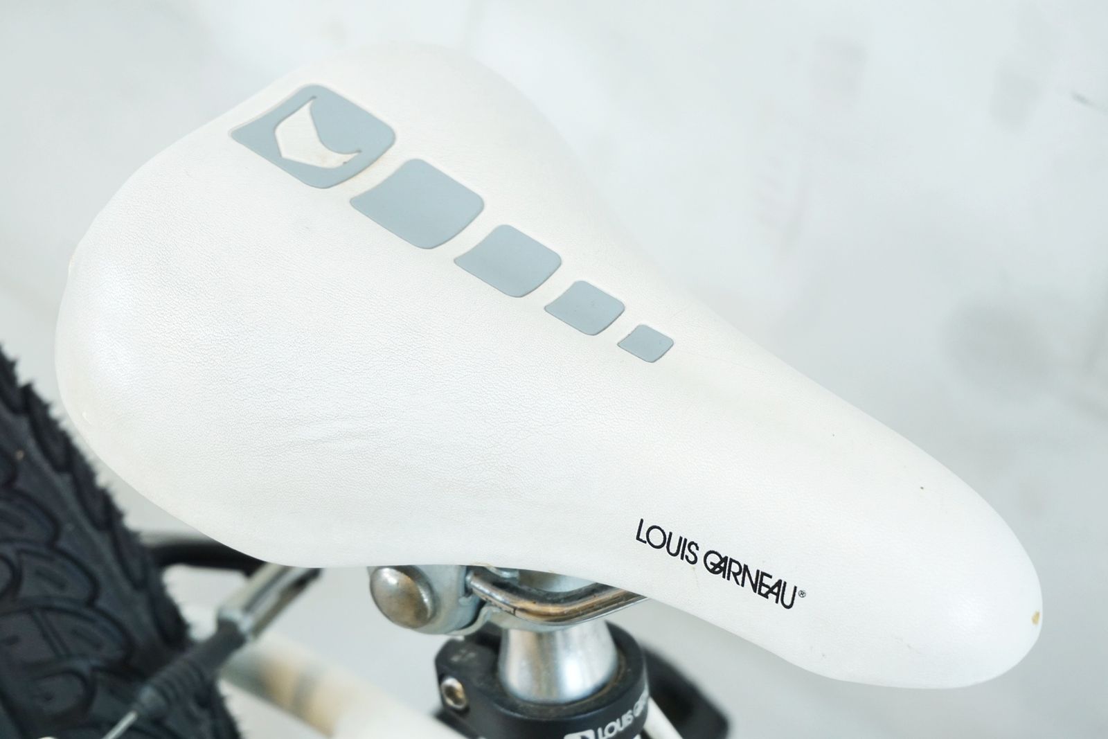 LOUIS GARNEAU 「ルイガノ」 LGS-J20 2022年モデル キッズバイク 