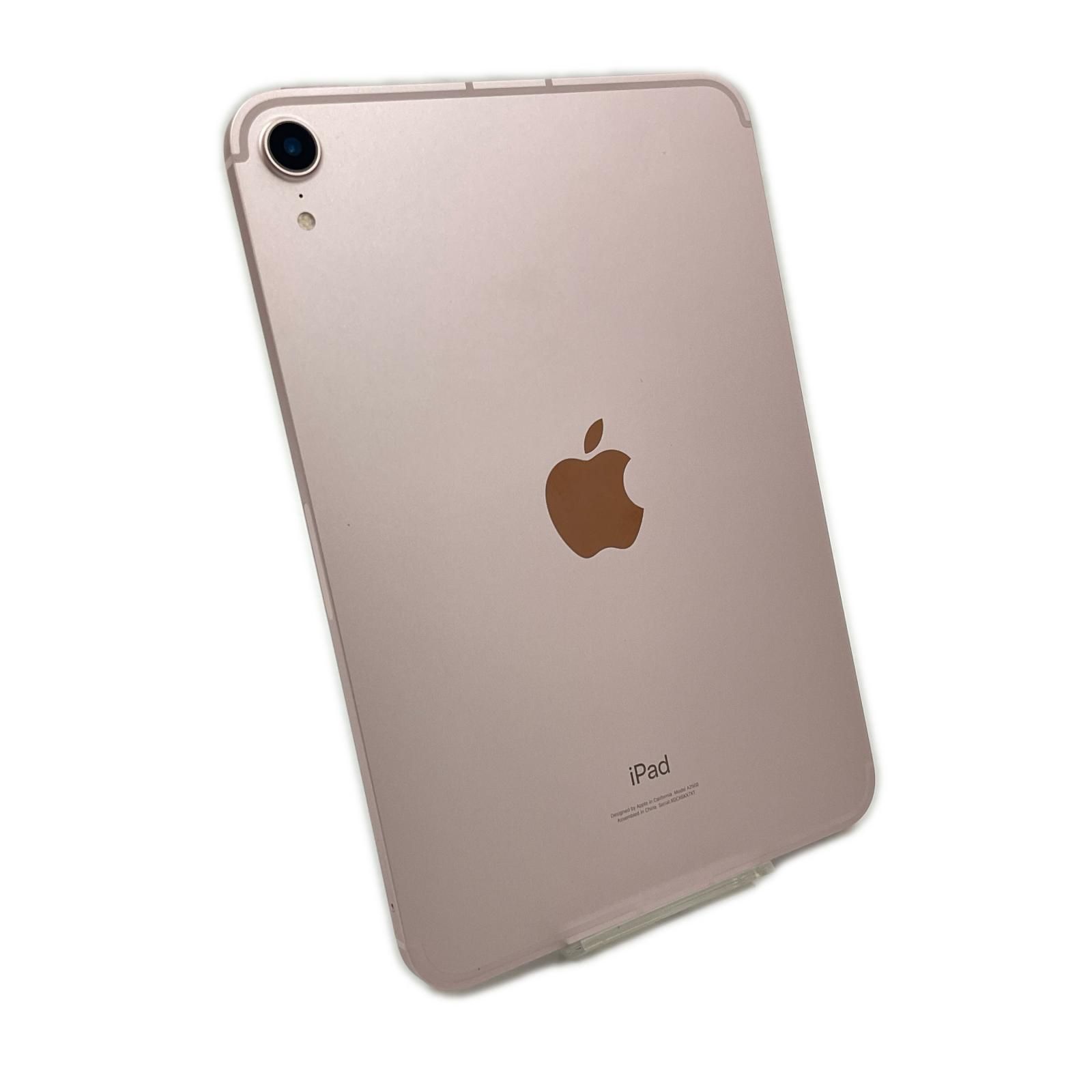 iPad mini 8.3