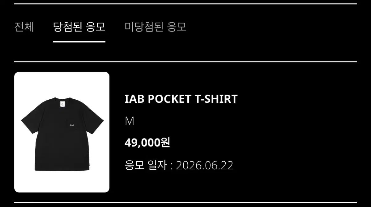 IAB Studio アイエプスタジオ ポケット Tシャツ M ブラック